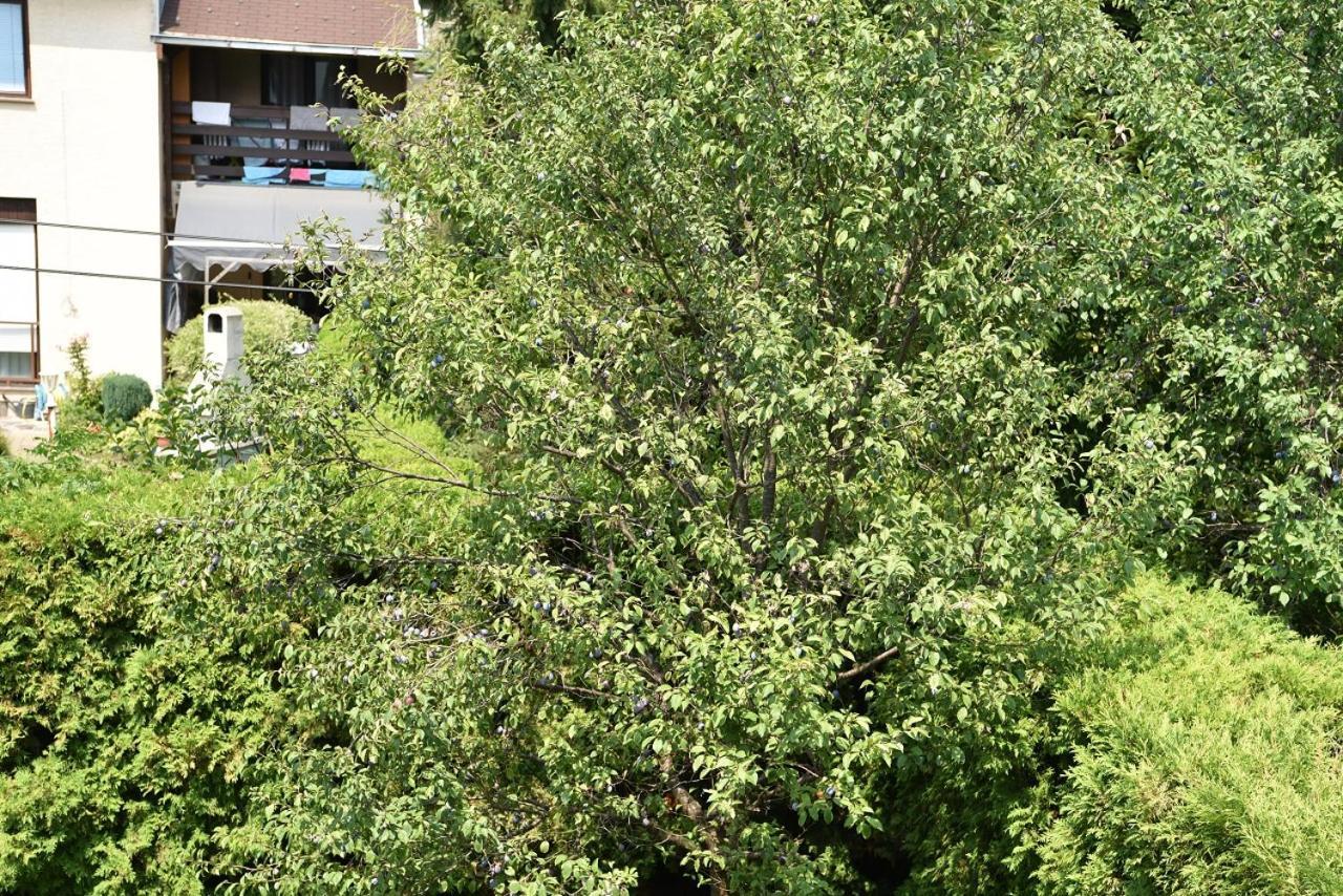 Apartman Jadranka Zaprešić Zewnętrze zdjęcie